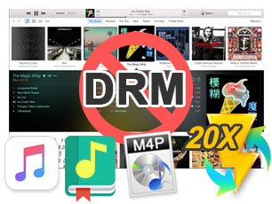 DRM von Musik entfernen
