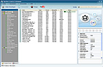 YouTube Downloader Software