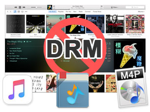 DRM von Musik entfernen