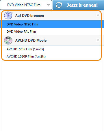 Wählen Sie DVD Format aus